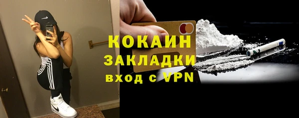 дживик Сосновоборск