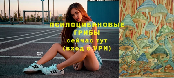 мдпв Струнино
