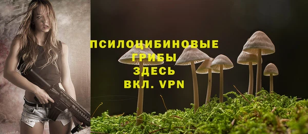 Альфа ПВП Сосновый Бор