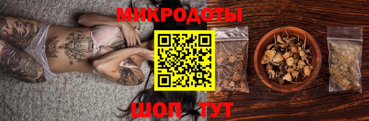 Галлюциногенные грибы Cubensis  Галлюциногенные грибы прущие грибы  Волжский 