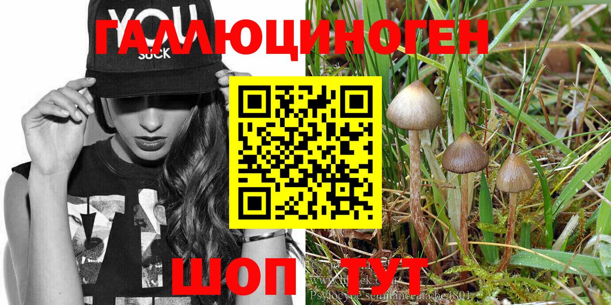 Галлюциногенные грибы прущие грибы Волжский