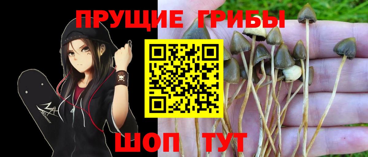 Псилоцибиновые грибы мицелий  Галлюциногенные грибы ЛСД  Волжский  Вход с VPN 