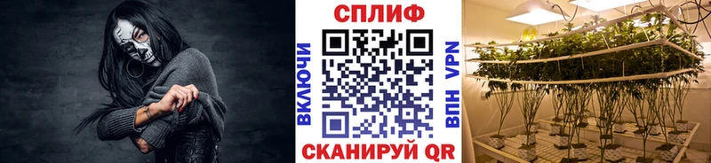 закладка  Волжский  Бошки Шишки SATIVA & INDICA 